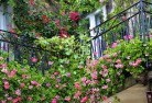 Fitzroy Northrooftop-and-balcony-gardens-17.jpg; ?>